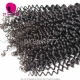 13x4/13x6 Lace Frontal With 3 or 4 Bundles Royal Cambodian Virgin Hair Weave Deep Curly 