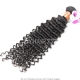 1 Bundle 14A Royal Grade Virgin Remy Burmese Deep Curly Hair Weft 100% Unprocessed