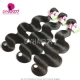 Best Match 4x4/5x5 Top Lace Closure With 3 or 4 Bundles 13A Standard Grade Virgin Hair Malaysian Body Wave Human Hair Extenions